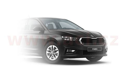 Náhled